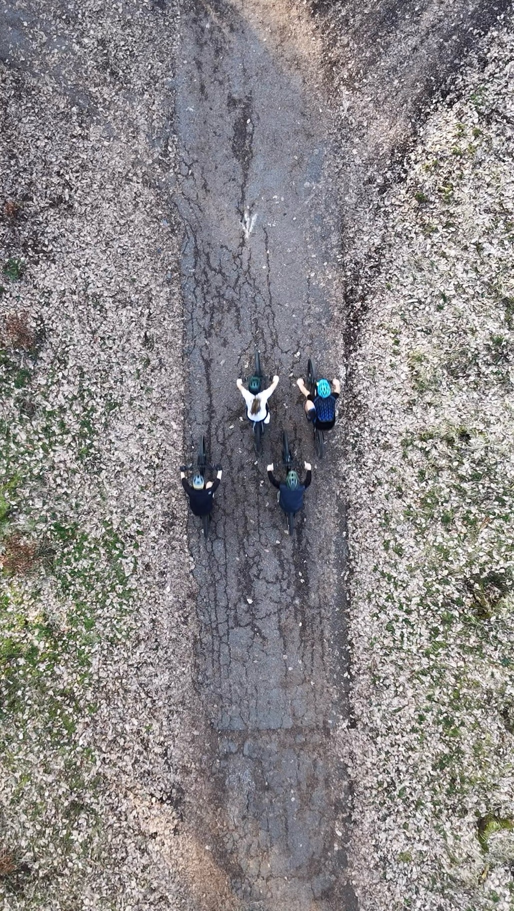Charitativní výzva